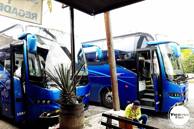 Servicio De Transportación Ejecutiva En Veracruz Servicio De Transportación Ejecutiva En Veracruz