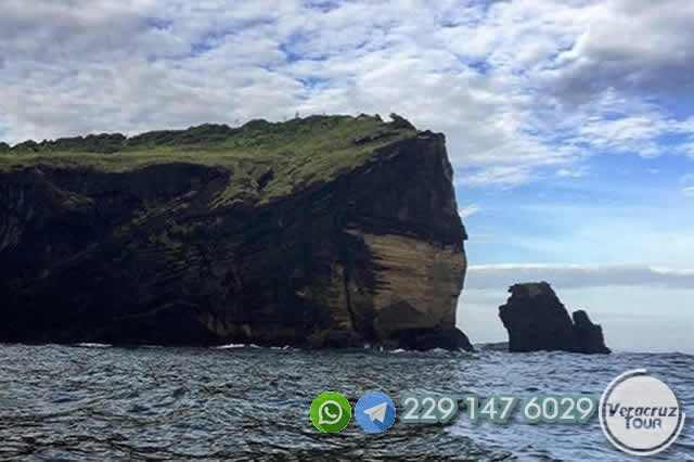 Tour a Roca Partida Saliendo del hotel en Veracruz o Boca del Río